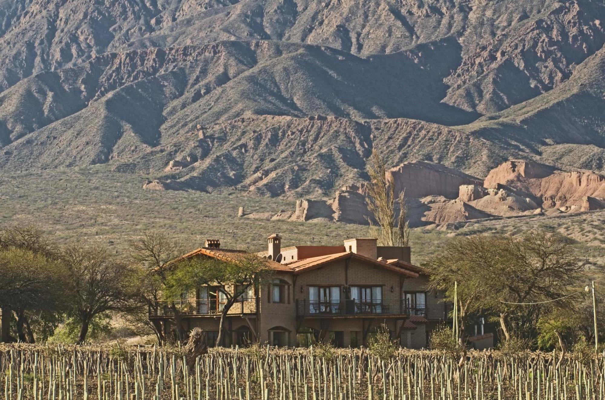 La Casa De La Bodega - Wine Boutique Hotel Cafayate Exteriér fotografie
