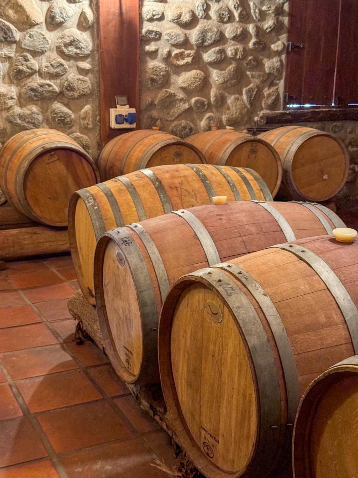 La Casa De La Bodega - Wine Boutique Hotel Cafayate Exteriér fotografie